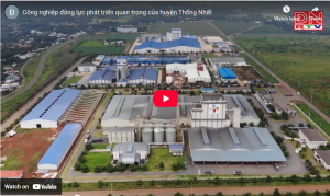 INDUSTRY IS AN IMPORTANT DRIVE FOR DEVELOPMENT IN THONG NHAT DISTRICT